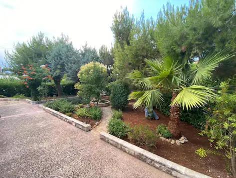 Villa Adelaide Ceglie Messapica Eksteriør billede